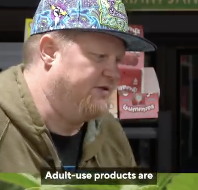 Recreational Cannabis Business Struggle